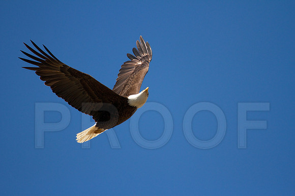 Who is That in My Airspace?