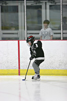 A-Game Mites, Team Gray vs Team Black, 2/18/10
