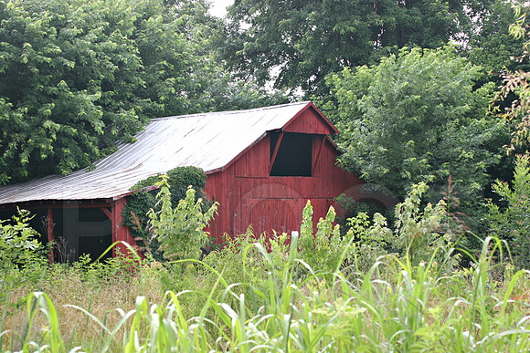 Abandoned barn in north Middle Tennessee