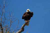 You Lookin' At Me?